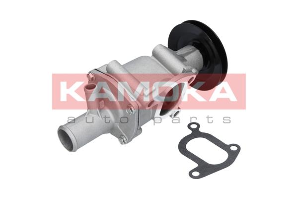 Pompa de apa KAMOKA T0116