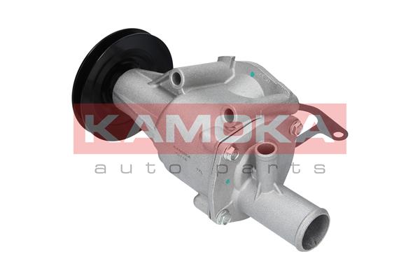 Pompa de apa KAMOKA T0116