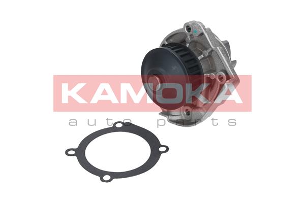 Pompa de apa KAMOKA T0118