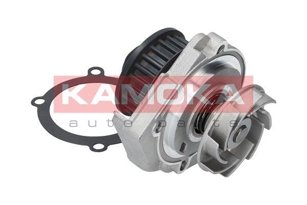Pompa de apa KAMOKA T0118
