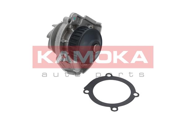 Pompa de apa KAMOKA T0118