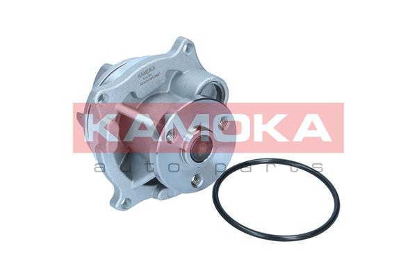 Pompa de apa KAMOKA T0129