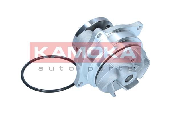 Pompa de apa KAMOKA T0129
