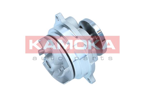 Pompa de apa KAMOKA T0129