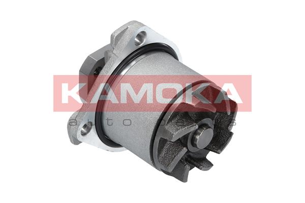 Pompa de apa KAMOKA T0138