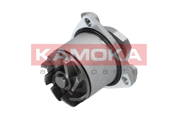 Pompa de apa KAMOKA T0138