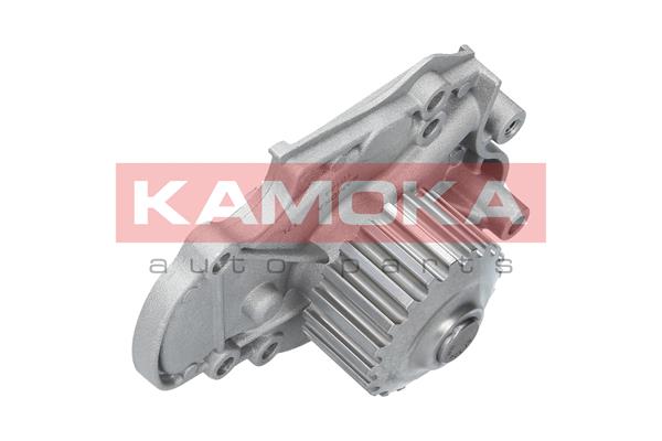 Pompa de apa KAMOKA T0144