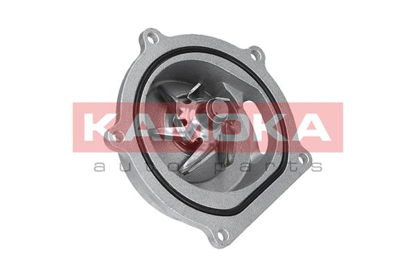 Pompa de apa KAMOKA T0145