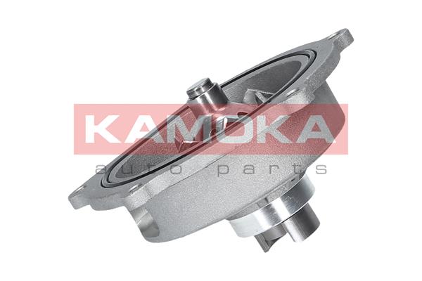 Pompa de apa KAMOKA T0145