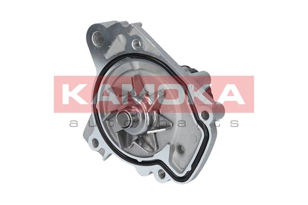 Pompa de apa KAMOKA T0148