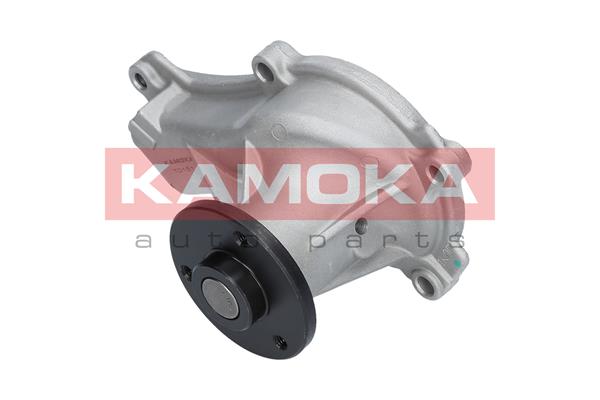 Pompa de apa KAMOKA T0151