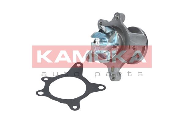 Pompa de apa KAMOKA T0163