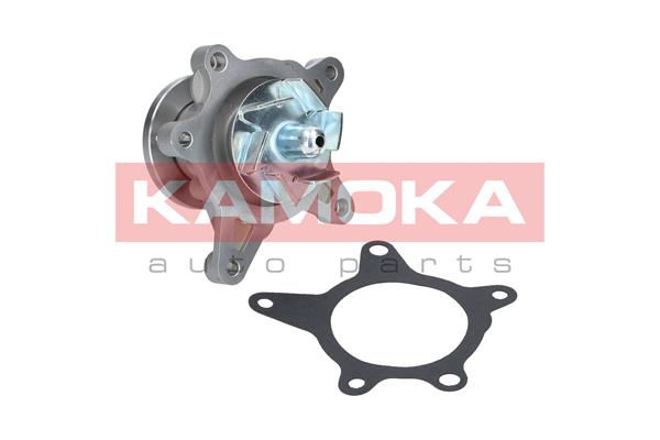 Pompa de apa KAMOKA T0163