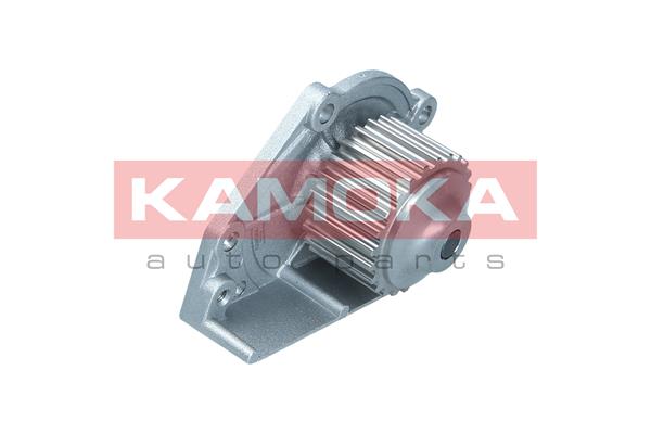 Pompa de apa KAMOKA T0174