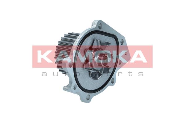 Pompa de apa KAMOKA T0174