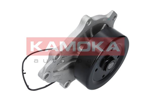 Pompa de apa KAMOKA T0176