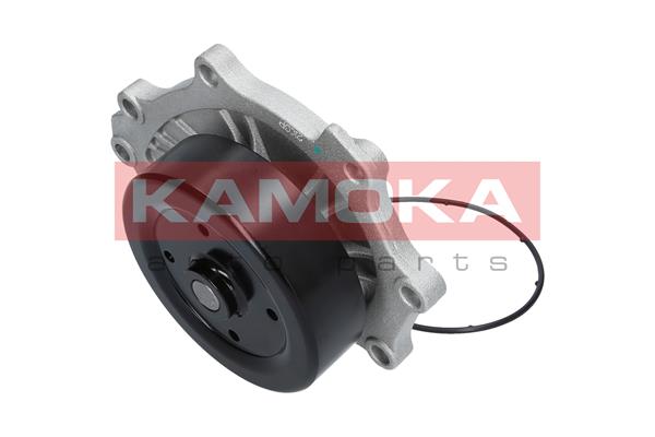 Pompa de apa KAMOKA T0176