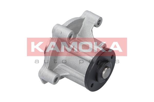 Pompa de apa KAMOKA T0183