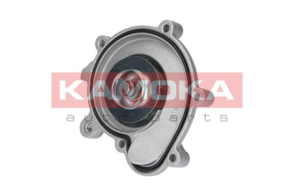 Pompa de apa KAMOKA T0194