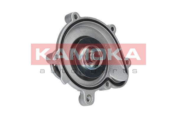 Pompa de apa KAMOKA T0194