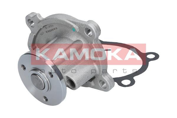 Pompa de apa KAMOKA T0215