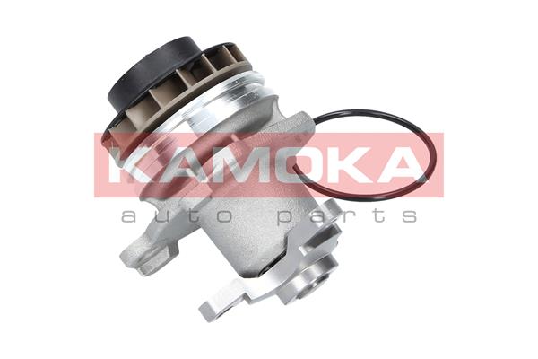 Pompa de apa KAMOKA T0222