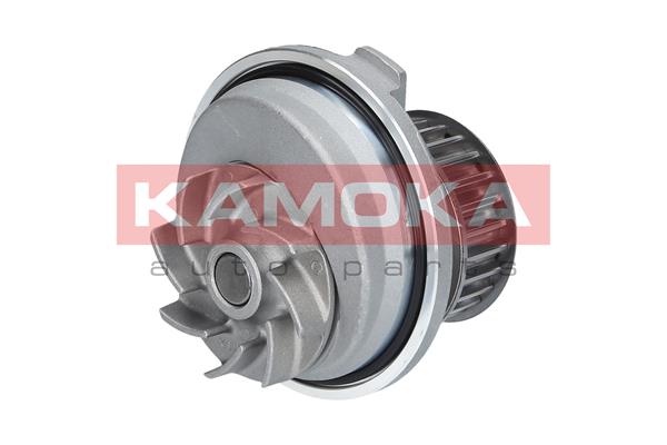 Pompa de apa KAMOKA T0229