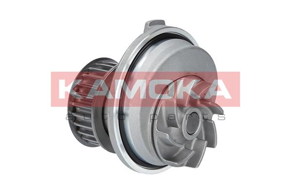 Pompa de apa KAMOKA T0229