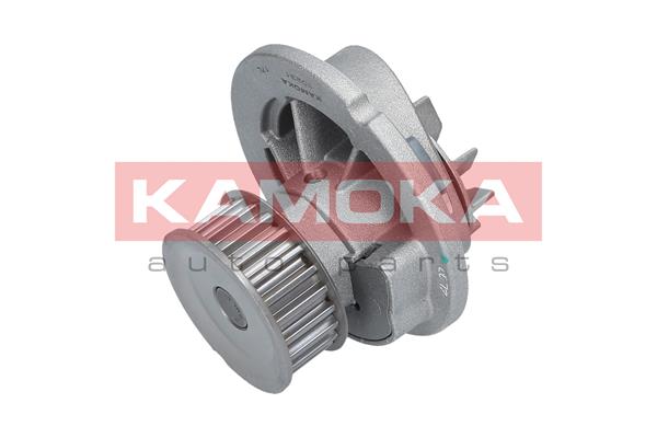 Pompa de apa KAMOKA T0231