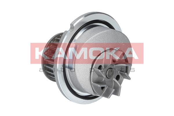 Pompa de apa KAMOKA T0231