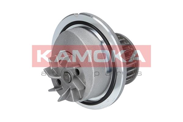 Pompa de apa KAMOKA T0231