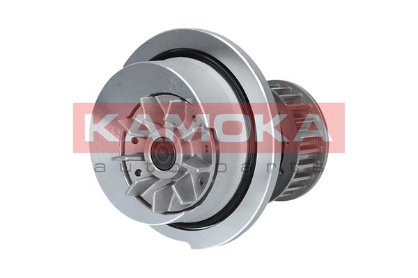 Pompa de apa KAMOKA T0232