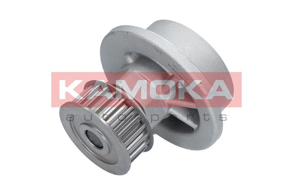 Pompa de apa KAMOKA T0232