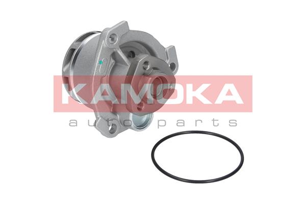 Pompa de apa KAMOKA T0234