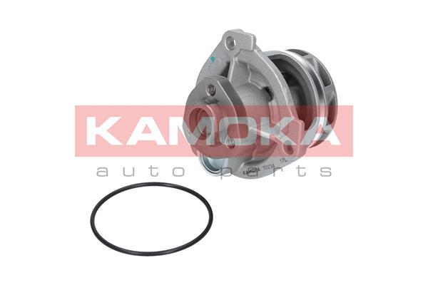 Pompa de apa KAMOKA T0234