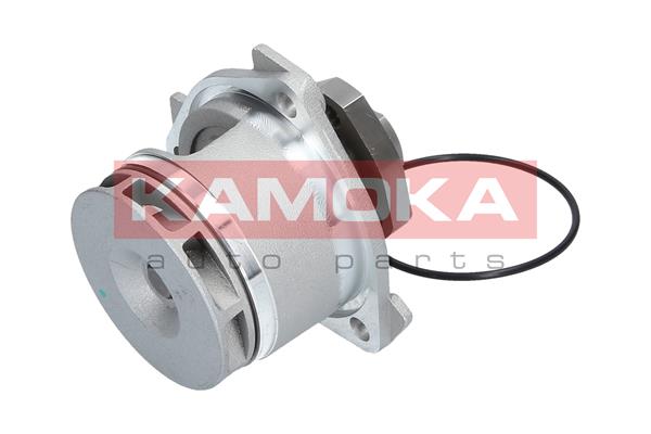 Pompa de apa KAMOKA T0234
