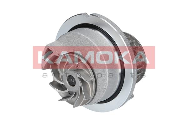 Pompa de apa KAMOKA T0236