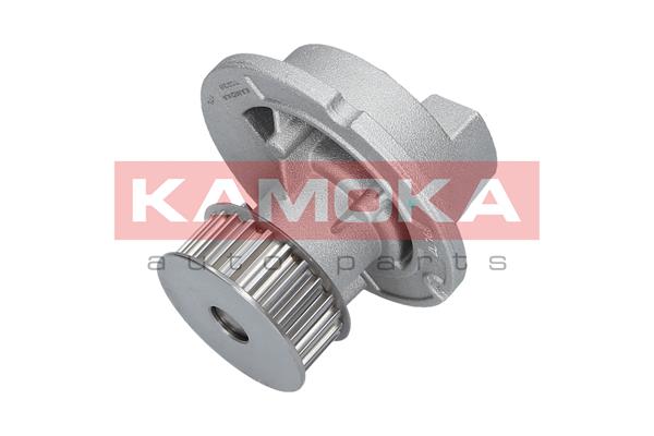 Pompa de apa KAMOKA T0236