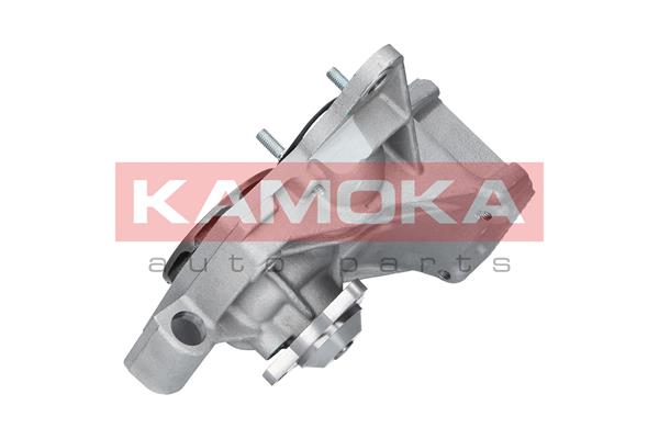Pompa de apa KAMOKA T0238