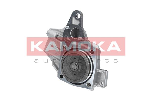 Pompa de apa KAMOKA T0239