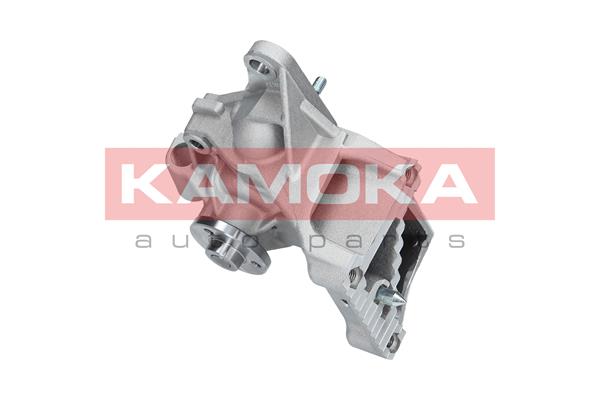 Pompa de apa KAMOKA T0239