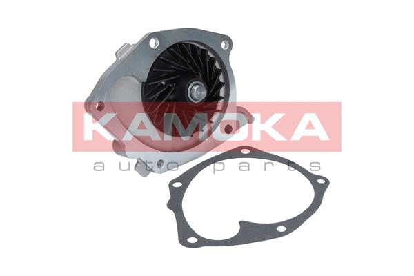 Pompa de apa KAMOKA T0245