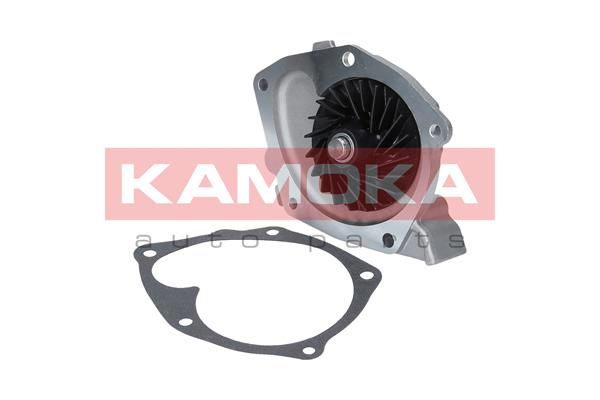 Pompa de apa KAMOKA T0245