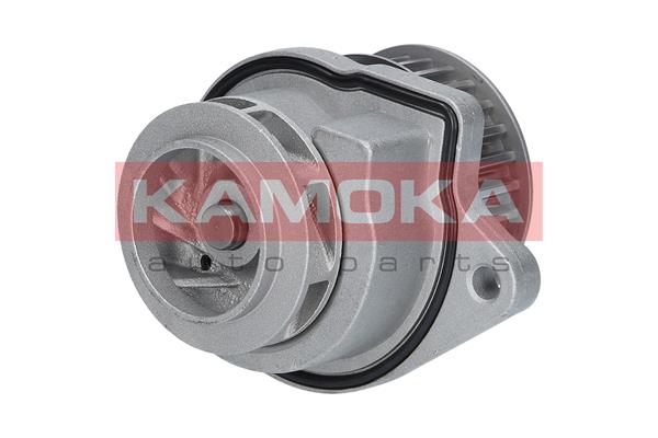 Pompa de apa KAMOKA T0248