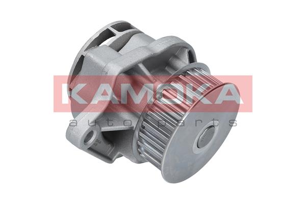 Pompa de apa KAMOKA T0248
