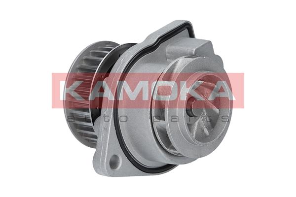 Pompa de apa KAMOKA T0248