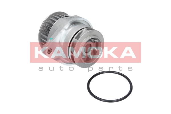 Pompa de apa KAMOKA T0249