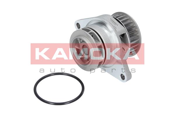 Pompa de apa KAMOKA T0249