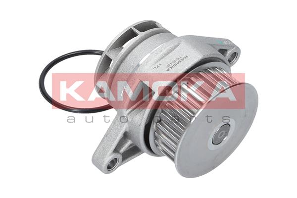 Pompa de apa KAMOKA T0249