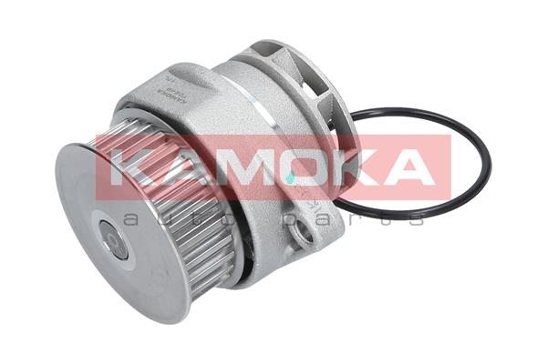 Pompa de apa KAMOKA T0249
